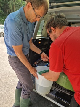 Photo 11. 6. 25, 10 06 02 (32)